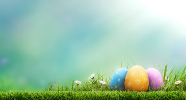 L’étude d’avocats Trümpy à Lausanne et à Echallens vous souhaite de joyeuses fêtes de Pâques !